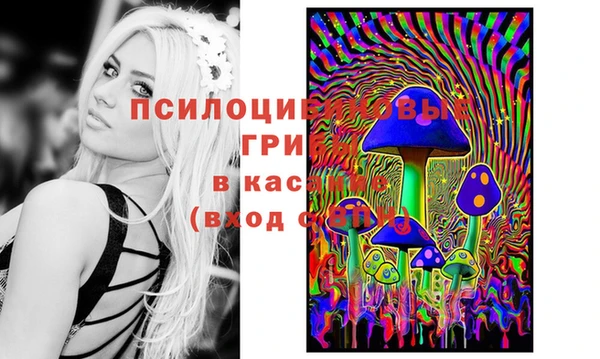 шишки Вязьма