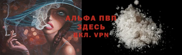 прущие грибы Вяземский