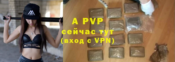 прущие грибы Вяземский