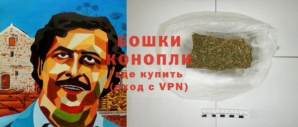 прущие грибы Вяземский