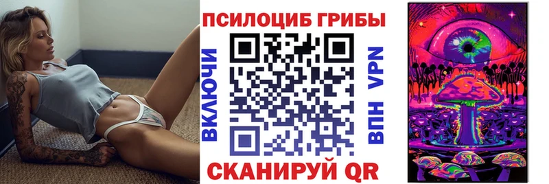 купить наркотик  маркетплейс официальный сайт  Псилоцибиновые грибы Psilocybine cubensis  Железногорск-Илимский 